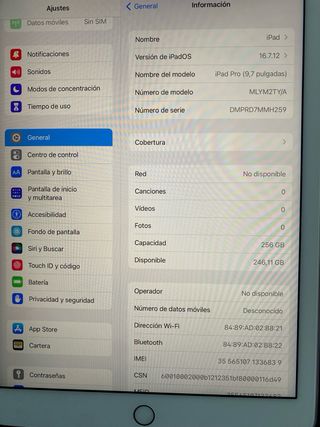 iPad Air  256GB Wi-Fi + 3g cellula