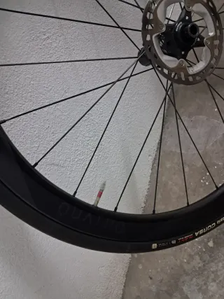 Ruedas Speedsix Quatro 2023 carbono.