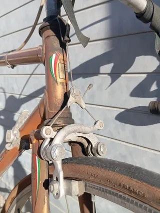 Bicicleta Peliser carretera