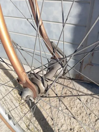 Bicicleta Peliser carretera