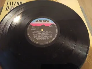 Taylor Dayne - Can't Fight Fate Vinilo LP