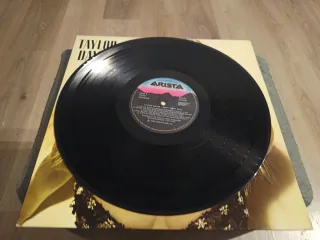 Taylor Dayne - Can't Fight Fate Vinilo LP
