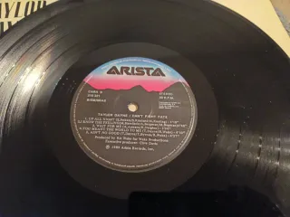 Taylor Dayne - Can't Fight Fate Vinilo LP