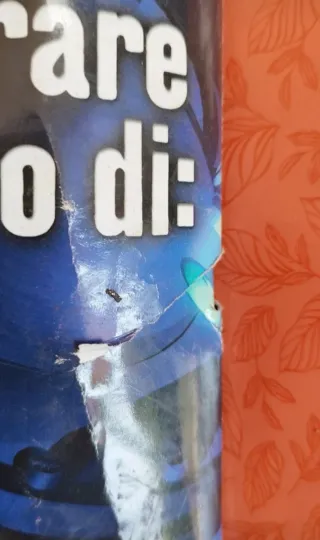 Rivista Gold PlayStation N.1 Agosto 1999