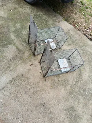 Trampa para alimañas de alambre