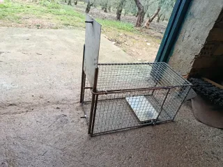 Trampa para alimañas de alambre