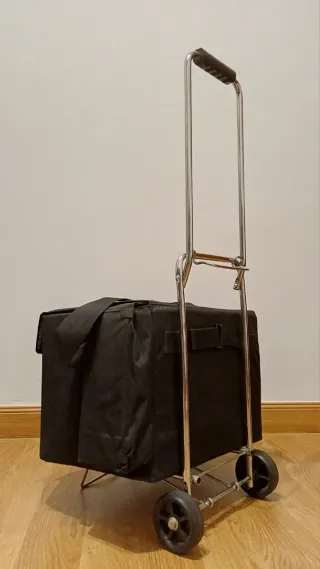 Amplificador Roland  Acoustic Chorus AC-60