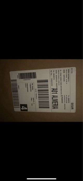 Patinete Eléctrico SmartGyro Z-One Gris