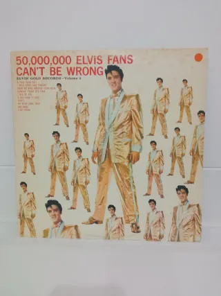 Collezione di vinili di Elvis e Little Richard