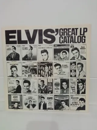 Collezione di vinili di Elvis e Little Richard