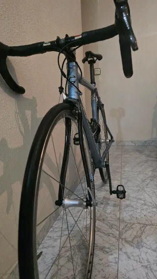 Cannondale CAAD 8