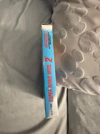 Super Mario Bros 2 Nintendo NES