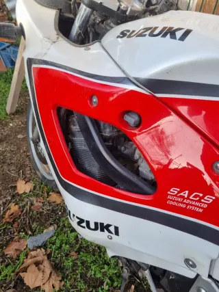 Suzuki Roja y Blanca Deportiva