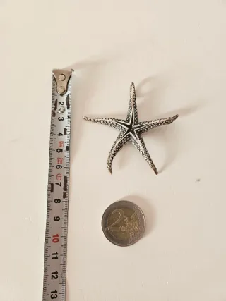Colgante plata forma estrella marina