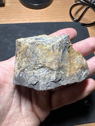 Lote 3 corales fósiles (500 M.a) - León