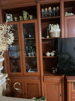 Mueble de salón Guaseri