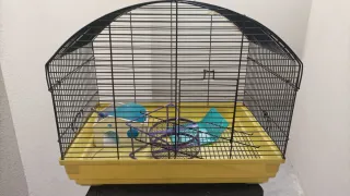 Jaula para hámster con accesorios