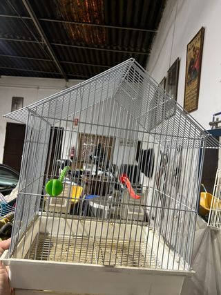 Jaula para pájaros pequeños