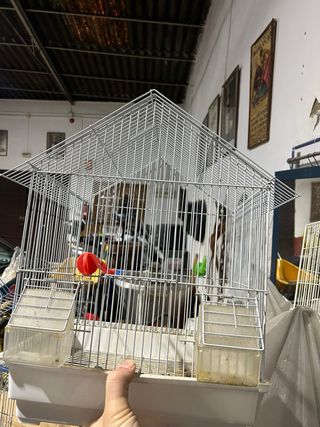 Jaula para pájaros pequeños