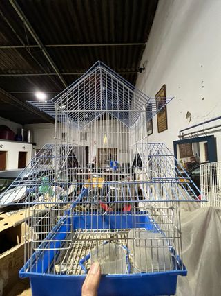 Jaula para pájaros pequeños