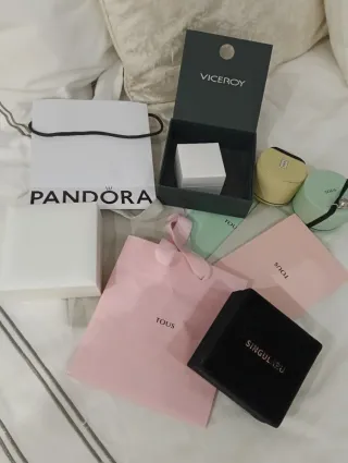 Lote cajas, bolsas Tous, Pandora singularu,viceroy