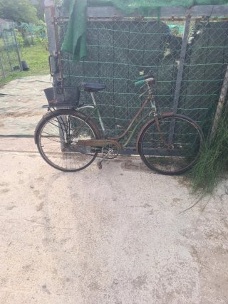 Bicicleta Clásica con Cesta