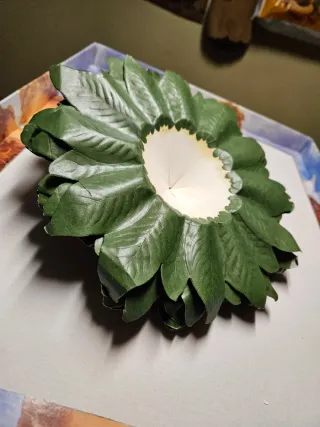 24 Centrini Foglie Verdi Diametro 26cm