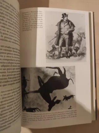 Inteligencia de los Perros, ediciones B SA