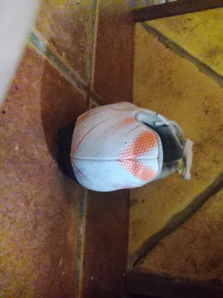 Zapatillas Fútbol Puma Talla 38