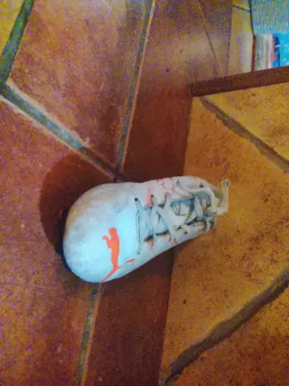 Zapatillas Fútbol Puma Talla 38