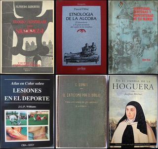 Lote de libros a 10 euros