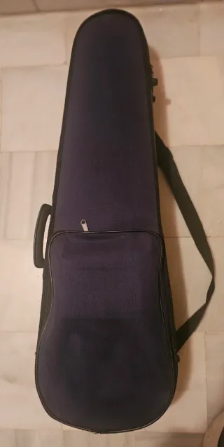Violín Sielam Expressivo 3/4 con funda