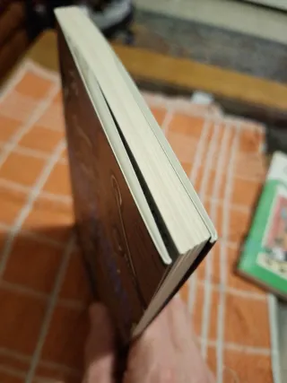 2 libros (Phiccións) y (Os gatos de Venecia)