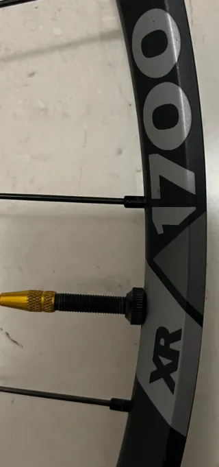 Ruedas DT Swiss XR 1700 Spline 29