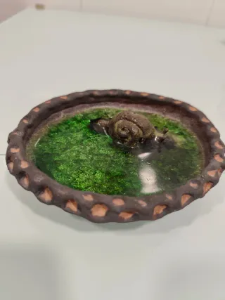 4 Caracoles Decorativos "17"