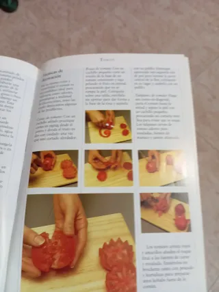 La cocina vegetariana