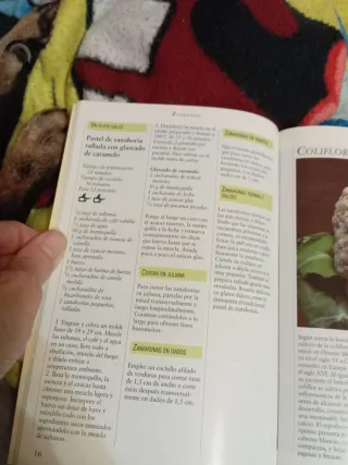 La cocina vegetariana