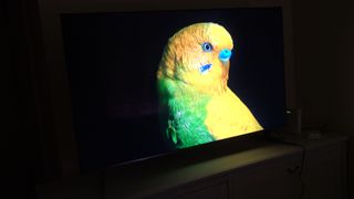 Xiaomi TV S Pro Mini LED 2026 55" Como Nueva