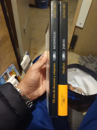 Mi año de descanso y relajación / My Year of Re...