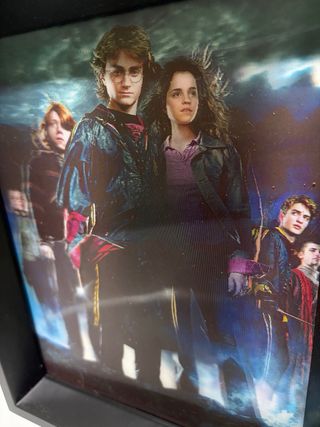 Cuadro 3D Harry Potter nuevo