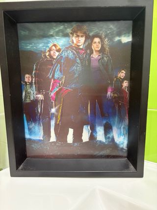 Cuadro 3D Harry Potter nuevo