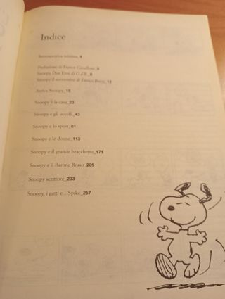 Libri fumetti vintage Snoopy e Lucy