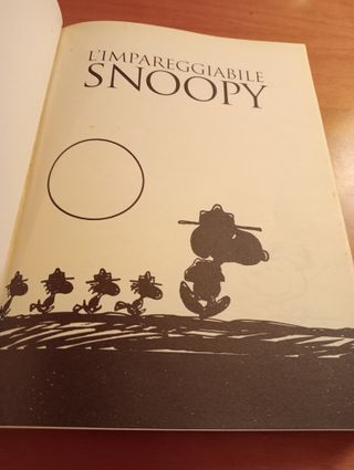 Libri fumetti vintage Snoopy e Lucy