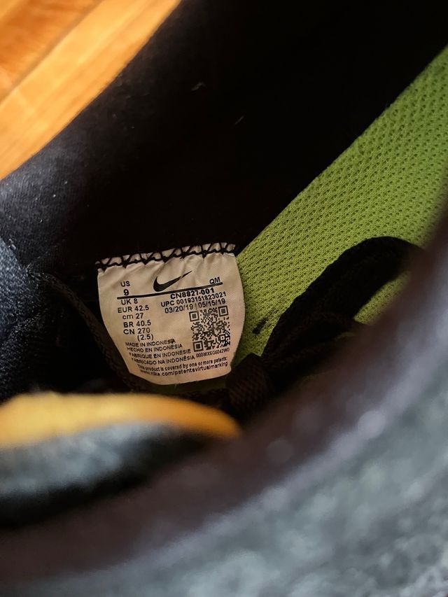 Nike Sb Bruin Low Ishod