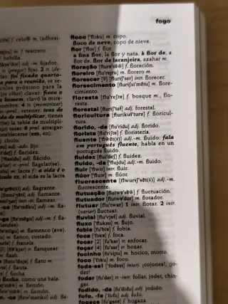 Mono diccionario portugués -español-portugues