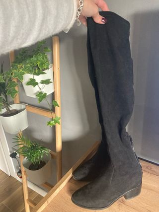 Stivali steve madden al ginocchio