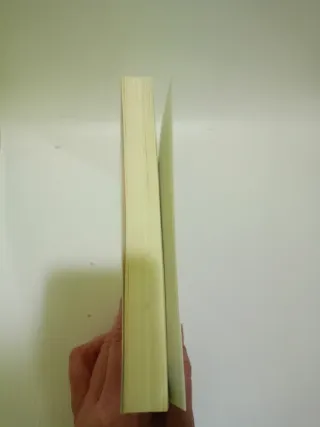 Cometas en el cielo/ The Kite Runner (Letras de...