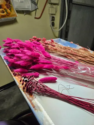 2 mazzi di fiori secchi rossi e lampone