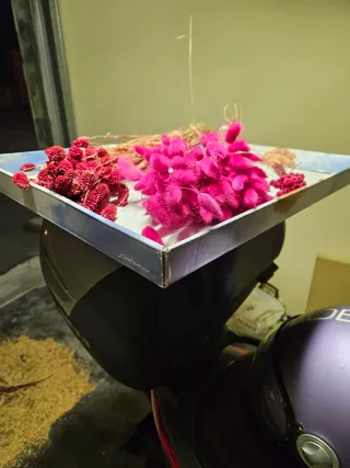 2 mazzi di fiori secchi rossi e lampone