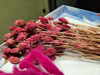 2 mazzi di fiori secchi rossi e lampone